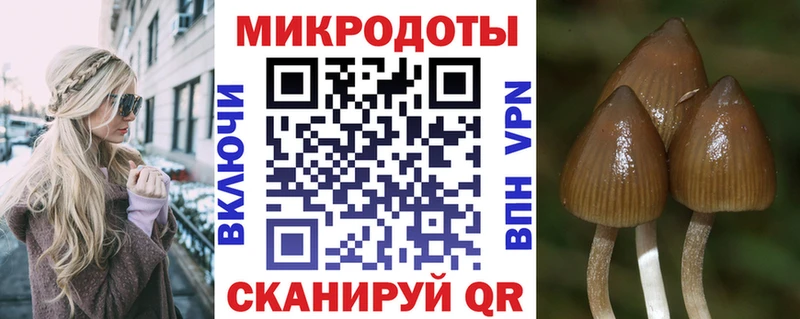 Псилоцибиновые грибы Psilocybe  сколько стоит  Курчатов 